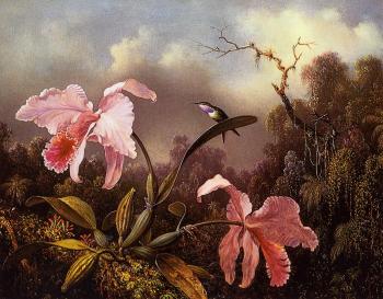 Orchids and Hummingbird II
